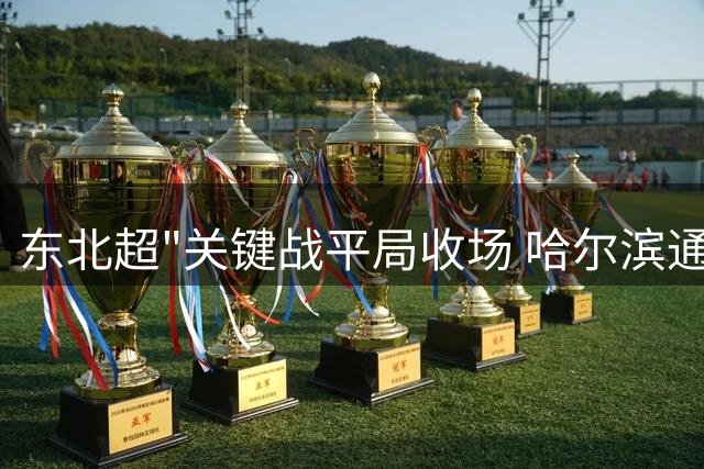 东北超"关键战平局收场 哈尔滨通辽1:1和气收兵